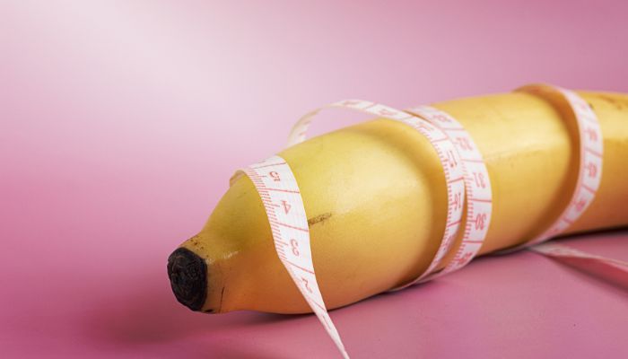 Các loại và đặc điểm của dương vật