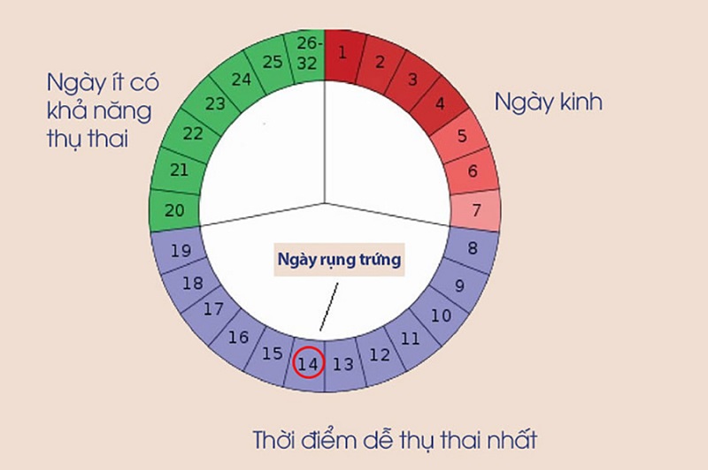 T&iacute;nh ng&agrave;y tr&aacute;nh thai