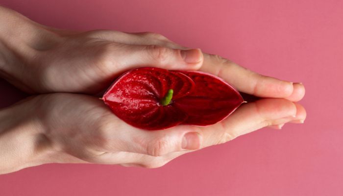 Có nên dùng dung dịch vệ sinh vùng kính